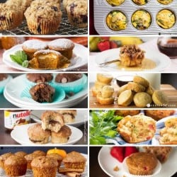 Best Muffin Recipes
