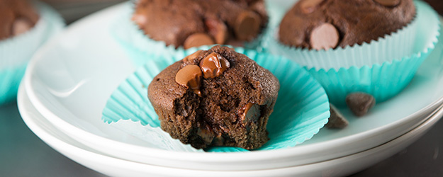 Chocolate chocolate chip muffin