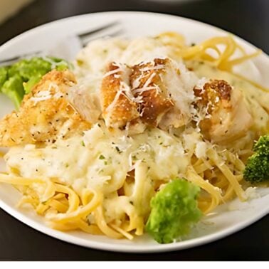 parmesan crusted chicken alfredo