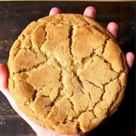 jumbo snickerdoodle cookies