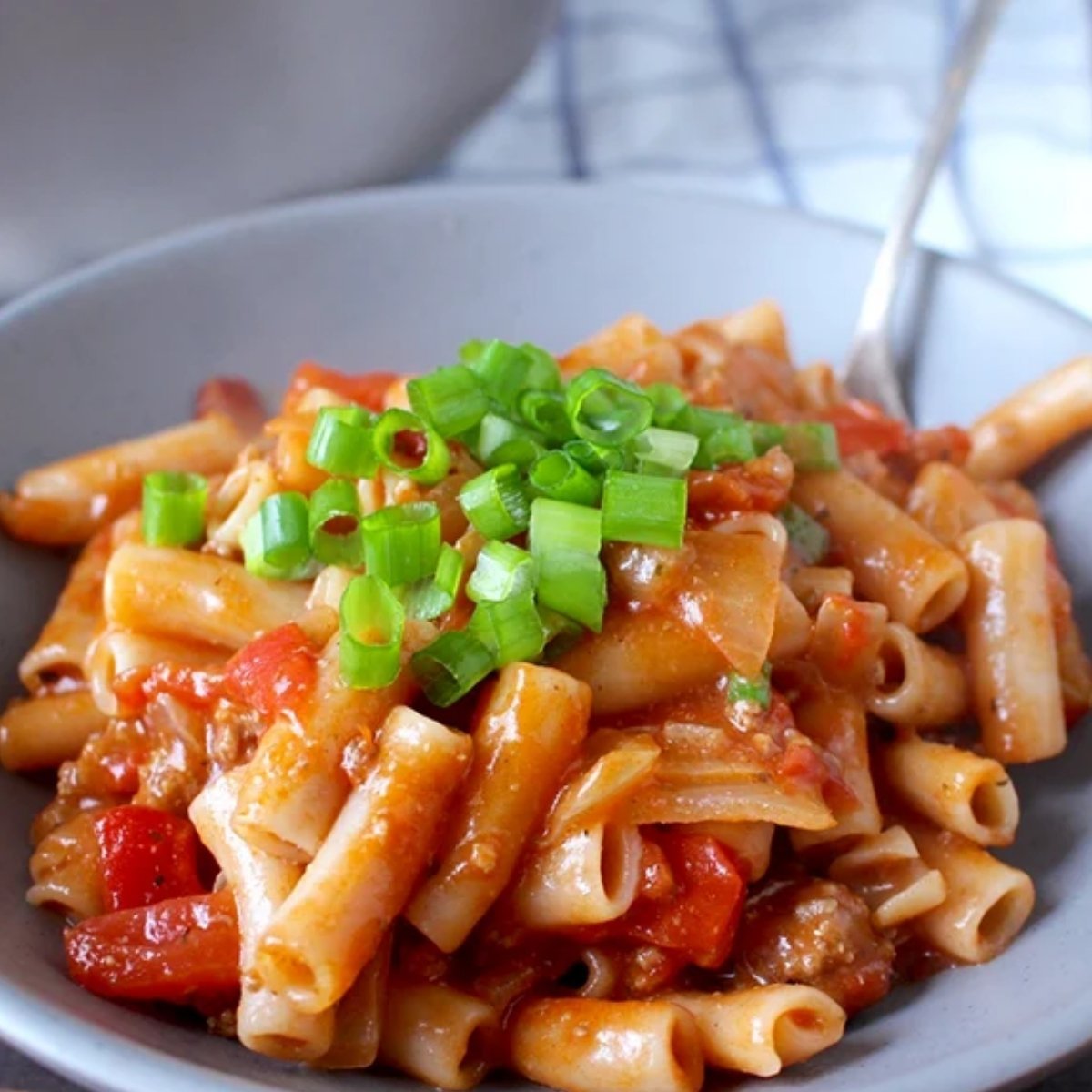 a plate of American goulash garnished with green onion