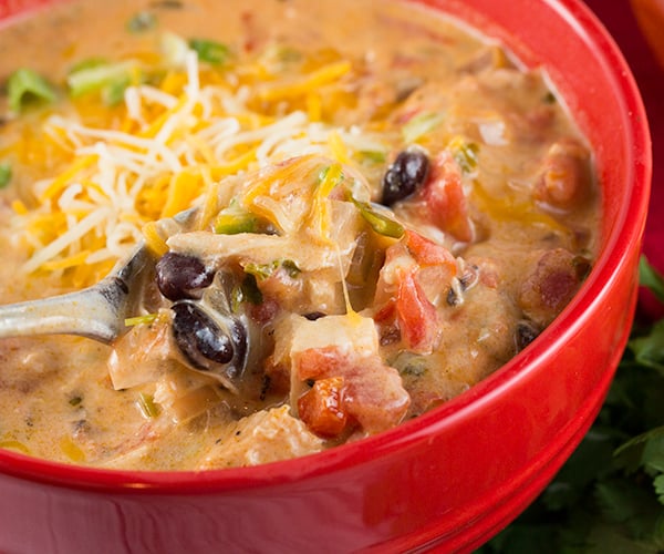cheesy chicken enchilada soup 4
