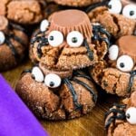 easy halloween spider cookies