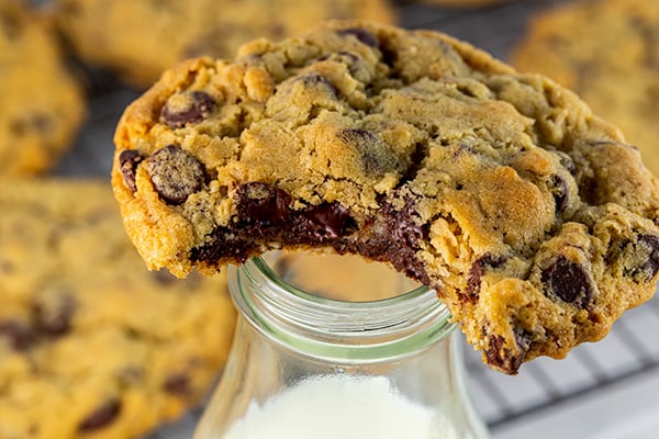 oatmeal chocolate chip cookies 6