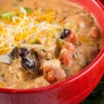 cheesy chicken enchilada soup