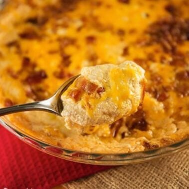 warm bacon cheddar dip