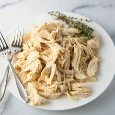 easy instant pot shredded chicken