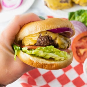 cheeseburger in the air fryer with lettuce, tomato and onion