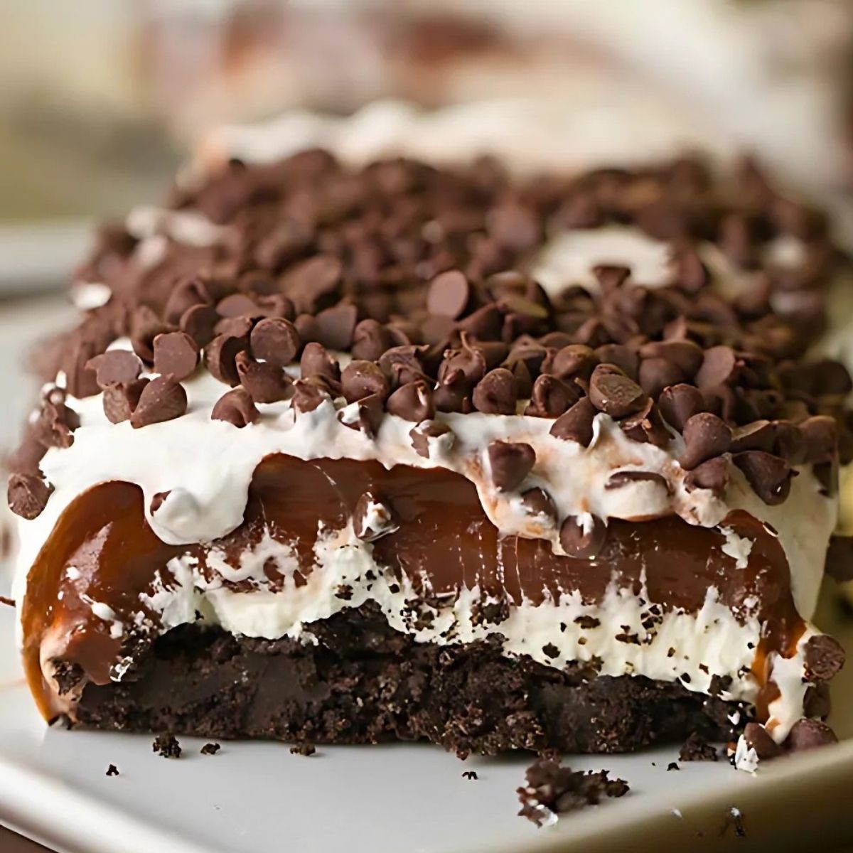 Chocolate lasagna dessert recipe with Oreo crust and creamy layers of pudding, cream cheese and Cool Whip.