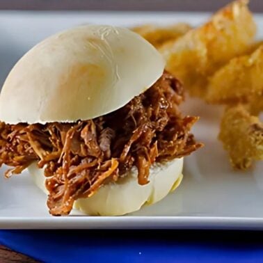 slow cooker pulled pork