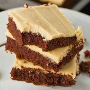 chocolate sheet cake with peanut butter frosting