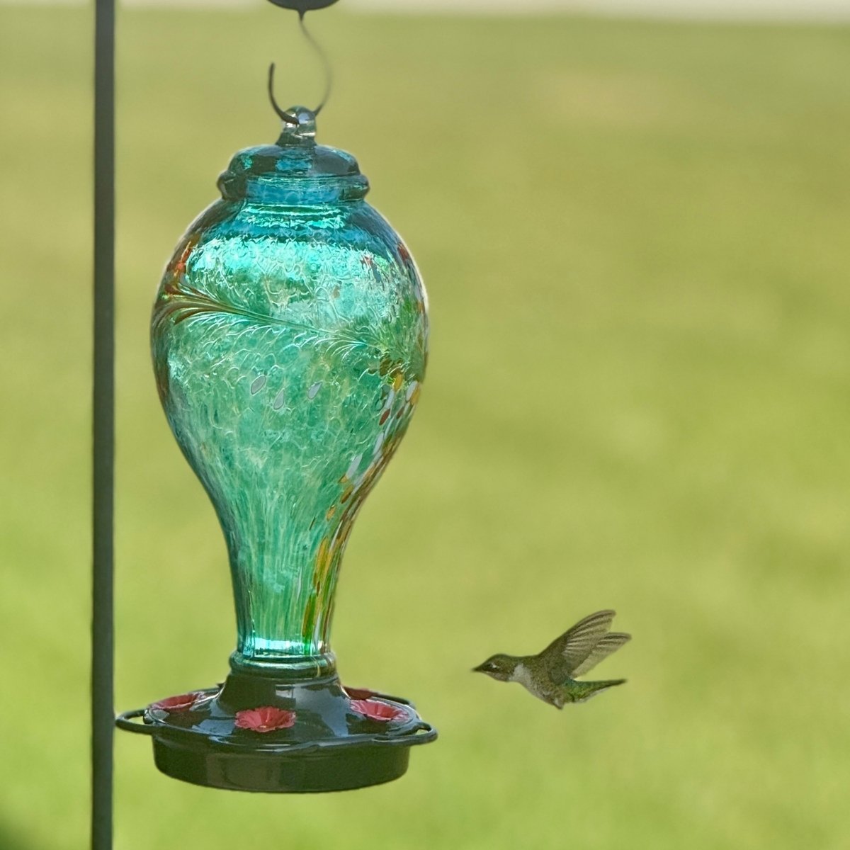 hummingbird drinking nectar from hummingbird feeder