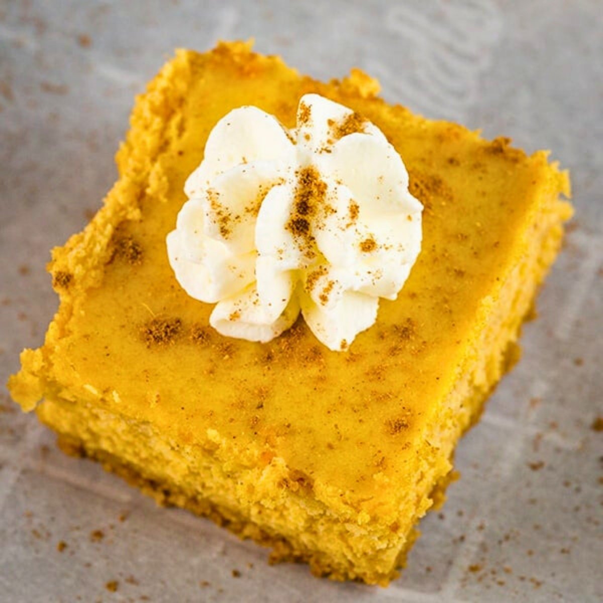 close-up of creamy pumpkin cheesecake bars with graham cracker crust and whipped cream topping